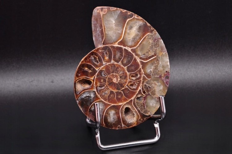 * AMONIT MADAGASKAR UNIKATOWY OKAZ DOSKONAŁY DO KOLEKCJI NR 11 *