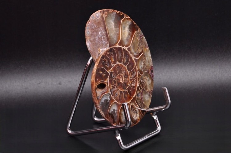 * AMONIT MADAGASKAR UNIKATOWY OKAZ DOSKONAŁY DO KOLEKCJI NR 11 *