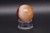 * AGAT SARDONYKS SARDONYX PALM STONE CHINY KULA UROCZY WZÓR NR 6 *