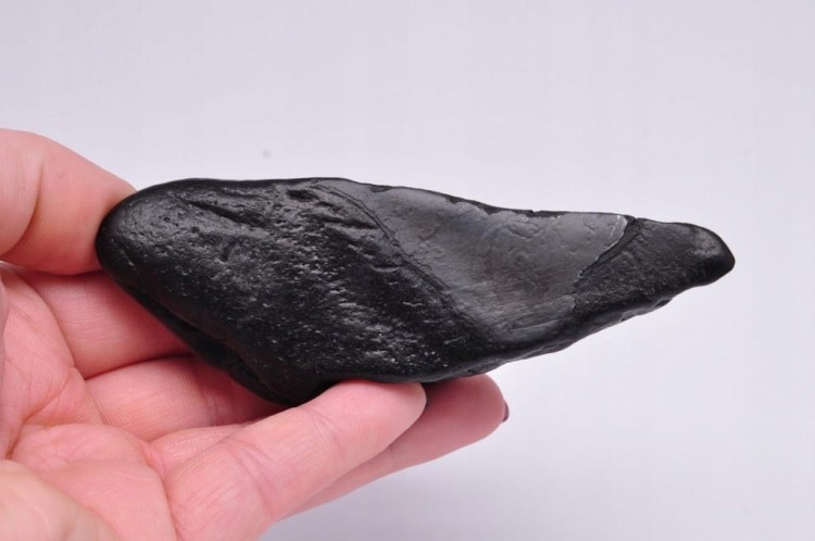 * MEGALODON REKIN SKAMIENIAŁY ZĄB BARDZO DOBRA JAKOŚĆ POŁÓWKA ZĘBA NR 3 *