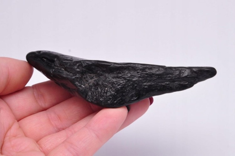 * MEGALODON REKIN SKAMIENIAŁY ZĄB BARDZO DOBRA JAKOŚĆ POŁÓWKA ZĘBA NR 3 *