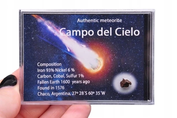 * METEORYT CAMPO DEL CIELO AUTENTYCZNY SUROWY OKAZ DLA WYJĄTKOWEJ OSOBY 8