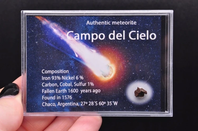 * METEORYT CAMPO DEL CIELO AUTENTYCZNY SUROWY OKAZ DLA WYJĄTKOWEJ OSOBY 8
