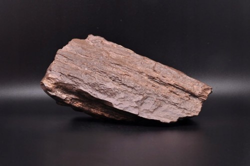 * SKAMIENIAŁE DREWNO POLSKA INTERESUJĄCY OKAZ DO KOLEKCJI NR 1 *