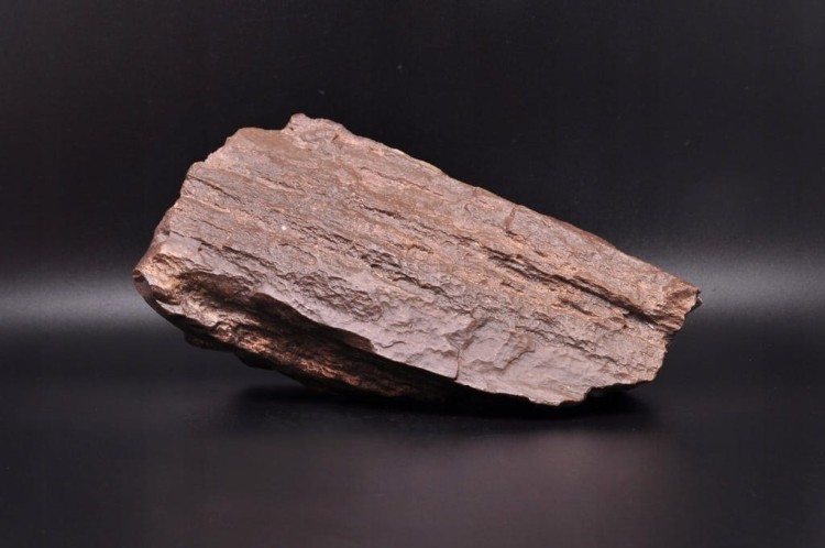 * SKAMIENIAŁE DREWNO POLSKA INTERESUJĄCY OKAZ DO KOLEKCJI NR 1 *