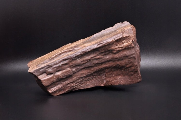 * SKAMIENIAŁE DREWNO POLSKA INTERESUJĄCY OKAZ DO KOLEKCJI NR 1 *