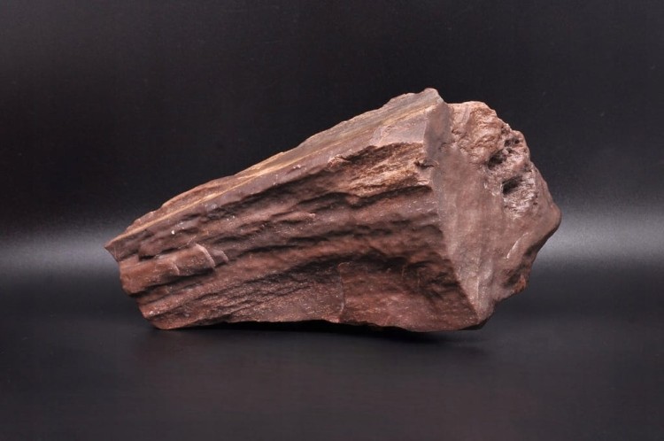 * SKAMIENIAŁE DREWNO POLSKA INTERESUJĄCY OKAZ DO KOLEKCJI NR 1 *