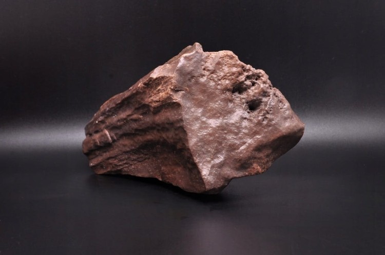 * SKAMIENIAŁE DREWNO POLSKA INTERESUJĄCY OKAZ DO KOLEKCJI NR 1 *