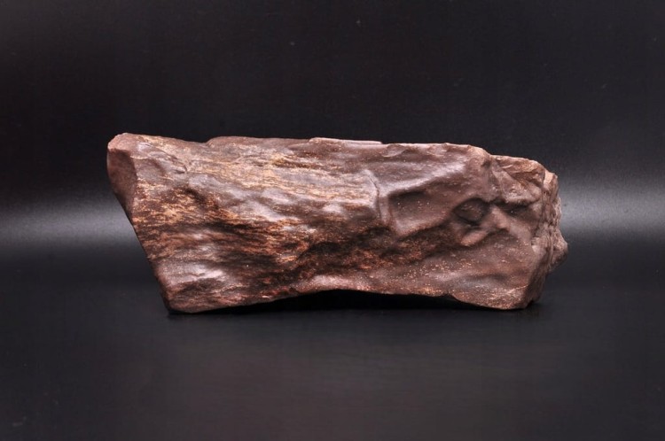 * SKAMIENIAŁE DREWNO POLSKA INTERESUJĄCY OKAZ DO KOLEKCJI NR 1 *