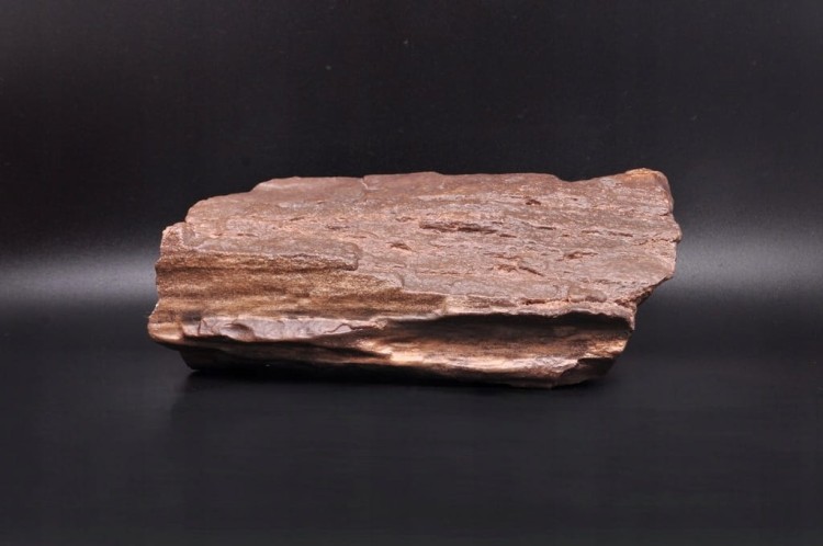 * SKAMIENIAŁE DREWNO POLSKA INTERESUJĄCY OKAZ DO KOLEKCJI NR 1 *