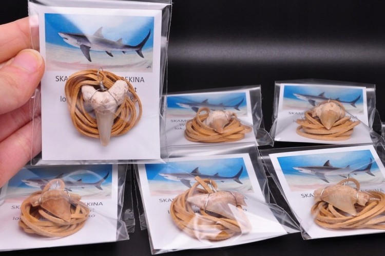 * ZĄB PREHISTORYCZNEGO REKINA ZAWIESZKA NA JASNYM RZEMYKU MAROKO *