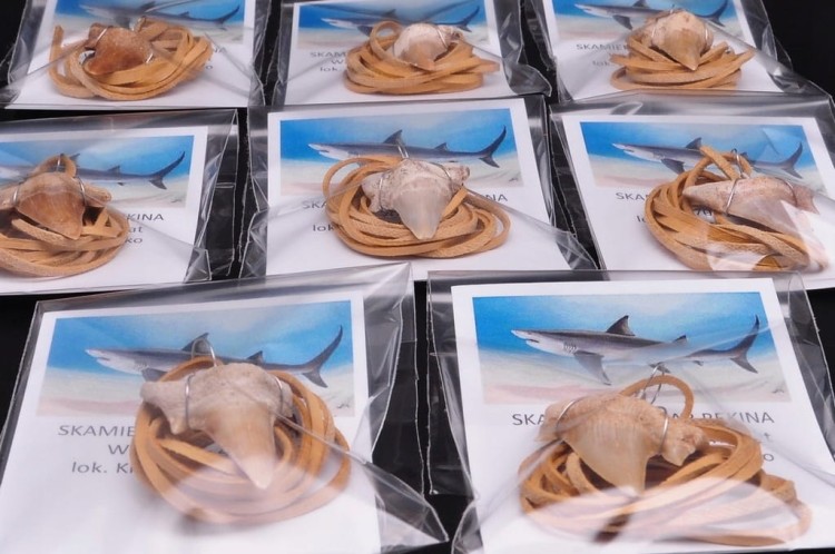 * ZĄB PREHISTORYCZNEGO REKINA ZAWIESZKA NA JASNYM RZEMYKU MAROKO *