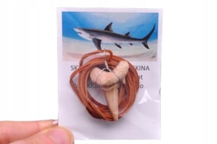 * ZĄB PREHISTORYCZNEGO REKINA ZAWIESZKA NA BRĄZOWYM RZEMYKU MAROKO *