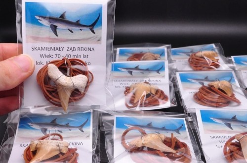 * ZĄB PREHISTORYCZNEGO REKINA ZAWIESZKA NA BRĄZOWYM RZEMYKU MAROKO *