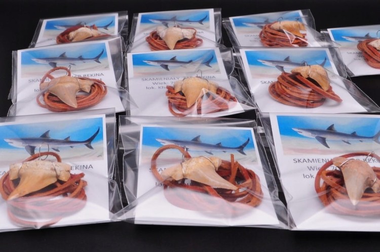 * ZĄB PREHISTORYCZNEGO REKINA ZAWIESZKA NA BRĄZOWYM RZEMYKU MAROKO *