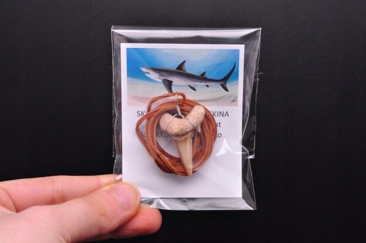 * ZĄB PREHISTORYCZNEGO REKINA ZAWIESZKA NA BRĄZOWYM RZEMYKU MAROKO *