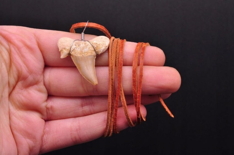 * ZĄB PREHISTORYCZNEGO REKINA ZAWIESZKA NA BRĄZOWYM RZEMYKU MAROKO *