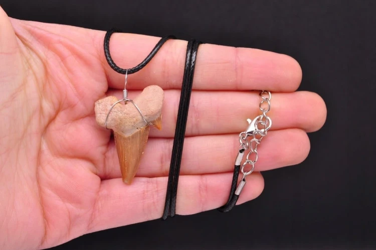 * ZĄB PREHISTORYCZNEGO REKINA MAROKO ZAWIESZKA CIEMNA BARWA NR 9 *