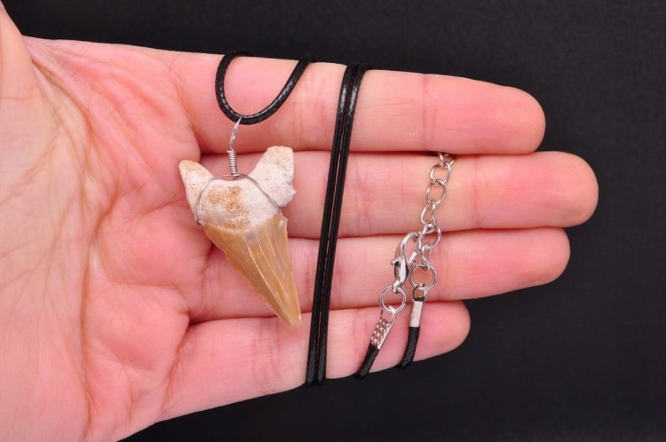 * ZĄB PREHISTORYCZNEGO REKINA MAROKO CIEKAWA ZAWIESZKA NA SZNURKU NR 11 *