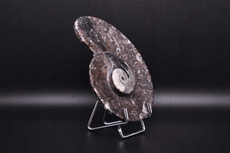 * GONIATYT ELEGANCKA MISECZKA MISKA WYJĄTKOWA SKAMIENIAŁOŚĆ NR 2 *