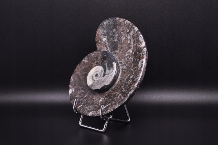 * GONIATYT ELEGANCKA MISECZKA MISKA WYJĄTKOWA SKAMIENIAŁOŚĆ NR 2 *