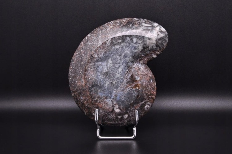 * GONIATYT ELEGANCKA MISECZKA MISKA WYJĄTKOWA SKAMIENIAŁOŚĆ NR 2 *