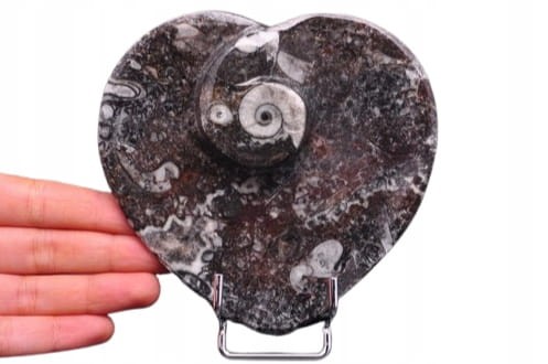 * GONIATYT PIĘKNA MISECZKA MISKA SERCE SKAMIENIAŁOŚĆ NA PREZENT NR 3 *