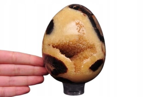 * SEPTARIA MADAGASKAR JAJKO 1,1 KG CIEKAWY OKAZ DOSKONAŁY DO KOLEKCJI NR 2