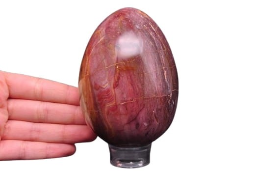 * SKAMIENIAŁE DREWNO JAJKO ŚLICZNA ELEGANCKA DEKORACJA NR 5 *