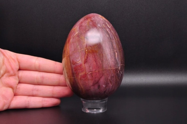 * SKAMIENIAŁE DREWNO JAJKO ŚLICZNA ELEGANCKA DEKORACJA NR 5 *