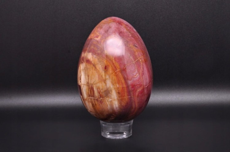 * SKAMIENIAŁE DREWNO JAJKO ŚLICZNA ELEGANCKA DEKORACJA NR 5 *