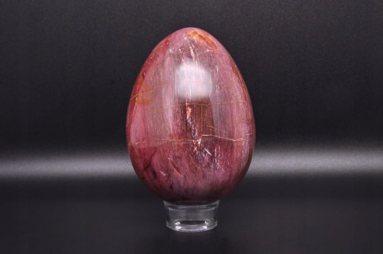 * SKAMIENIAŁE DREWNO JAJKO ŚLICZNA ELEGANCKA DEKORACJA NR 5 *