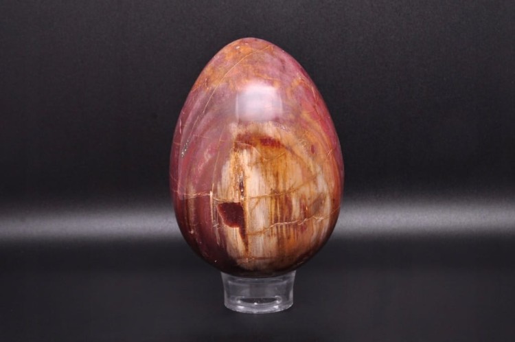 * SKAMIENIAŁE DREWNO JAJKO ŚLICZNA ELEGANCKA DEKORACJA NR 5 *