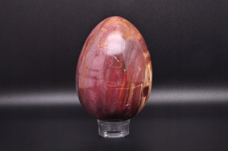 * SKAMIENIAŁE DREWNO JAJKO ŚLICZNA ELEGANCKA DEKORACJA NR 5 *