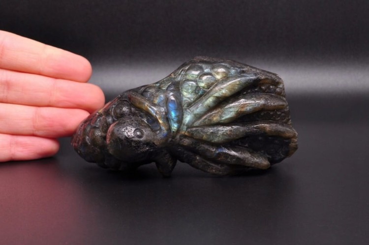 * LABRADORYT MADAGASKAR INTERESUJĄCA FIGURKA RZEŹBA OŚMIORNICA NR 7 *