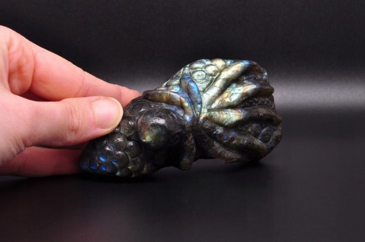 * LABRADORYT MADAGASKAR INTERESUJĄCA FIGURKA RZEŹBA OŚMIORNICA NR 7 *