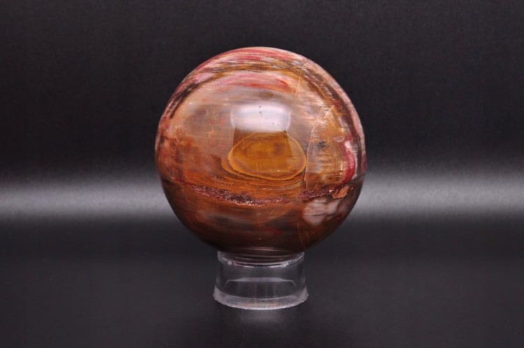 * SKAMIENIAŁE DREWNO MADAGASKAR WIELOKOLOROWA KULA ŚLICZNA BARWA NR 2 *