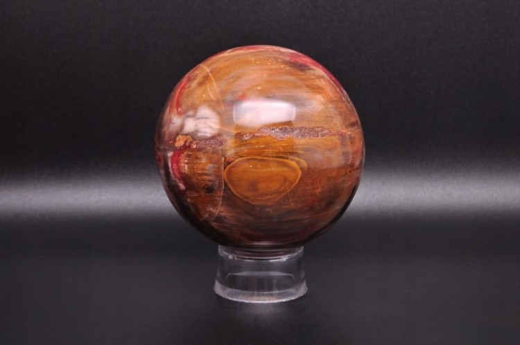 * SKAMIENIAŁE DREWNO MADAGASKAR WIELOKOLOROWA KULA ŚLICZNA BARWA NR 2 *