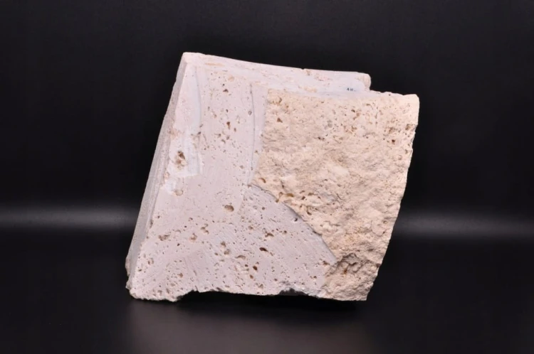 * SKAMIENIAŁY KRAB W TRAWERTYNIE TURCJA BARDZO DOBRZE ZACHOWANY OKAZ NR 1 *