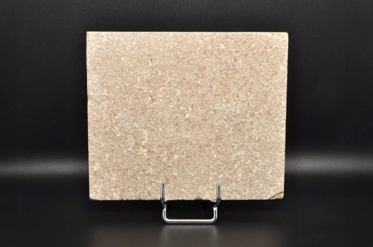 * SKAMIENIAŁA RYBA ORYGINALNA PŁYTKA DOSKONALE ZACHOWANY OKAZ NR 1 *