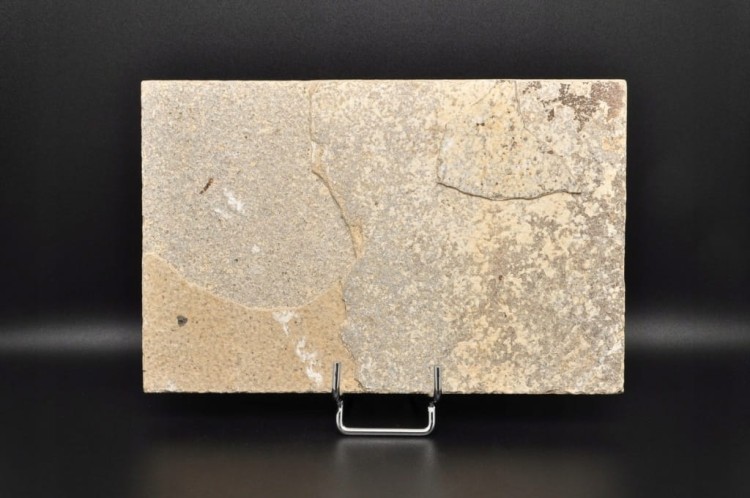 * SKAMIENIAŁA RYBA DOSKONAŁA PŁYTKA DO KOLEKCJI WSPANIAŁY OKAZ NR 2 *