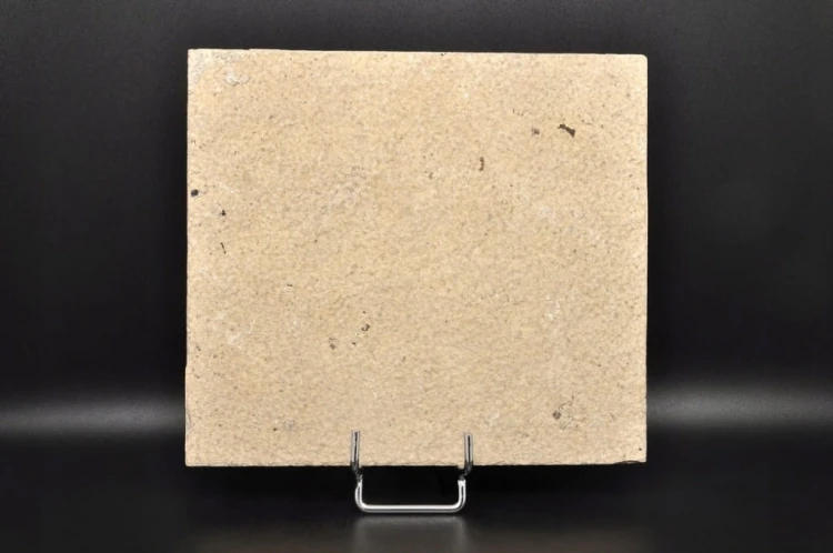 * SKAMIENIAŁA RYBA PROSTOKĄTNA PŁYTKA INTERESUJĄCY OKAZ NR 3 *