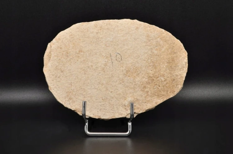 * SKAMIENIAŁA RYBA INTERESUJĄCA SKAMIENIAŁOŚĆ OWALNA PŁYTKA NR 3 *