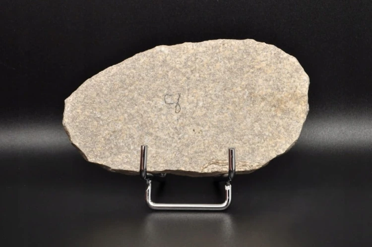 * SKAMIENIAŁA RYBA ORYGINALNY BARDZO DOBRZE ZACHOWANY OKAZ NR 4 *