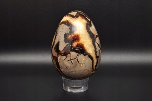 * SEPTARIA MADAGASKAR JAJKO PRZEPIĘKNA DEKORACJA ŚLICZNY OKAZ NR EGG38 *