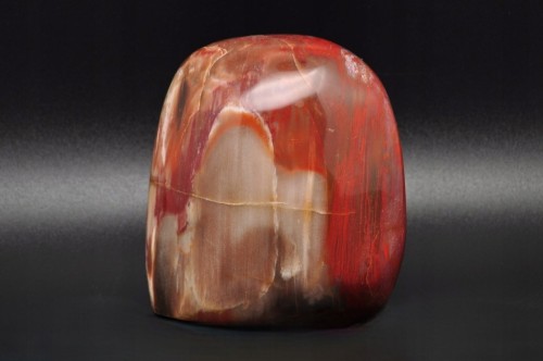 * SKAMIENIAŁE DREWNO MADAGASKAR DOSKONAŁY MINERAŁ DO DEKORACJI NR 8 *