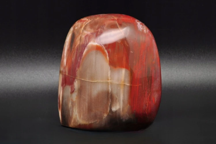 * SKAMIENIAŁE DREWNO MADAGASKAR DOSKONAŁY MINERAŁ DO DEKORACJI NR 8 *