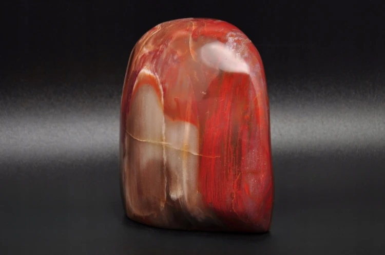 * SKAMIENIAŁE DREWNO MADAGASKAR DOSKONAŁY MINERAŁ DO DEKORACJI NR 8 *