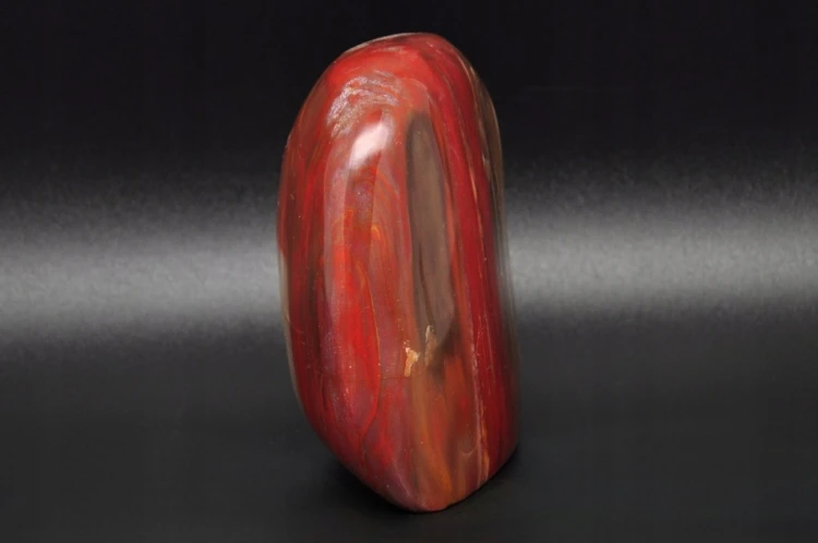 * SKAMIENIAŁE DREWNO MADAGASKAR DOSKONAŁY MINERAŁ DO DEKORACJI NR 8 *