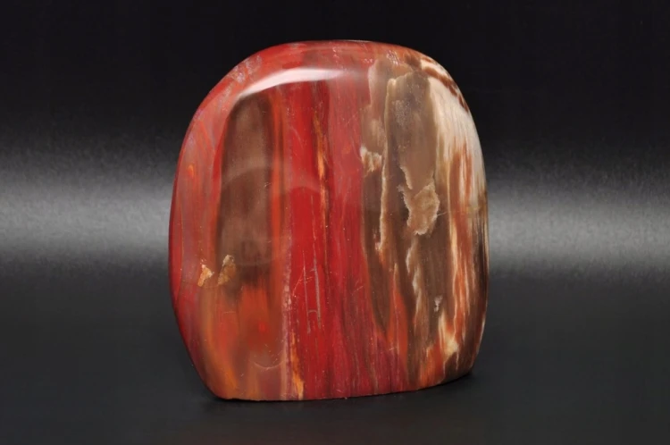 * SKAMIENIAŁE DREWNO MADAGASKAR DOSKONAŁY MINERAŁ DO DEKORACJI NR 8 *